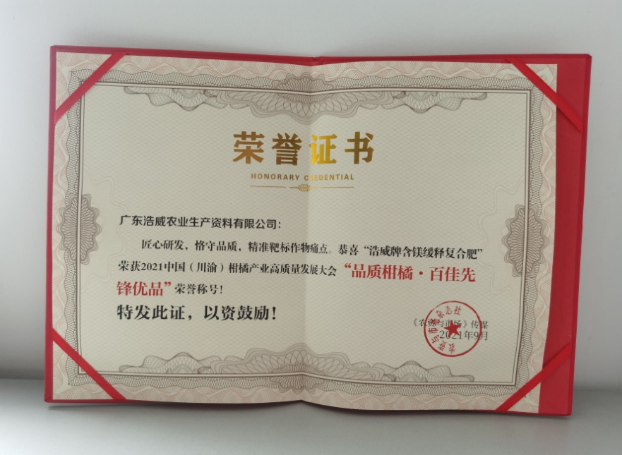 榮譽證書
