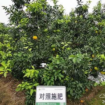 浩威農(nóng)業(yè)
