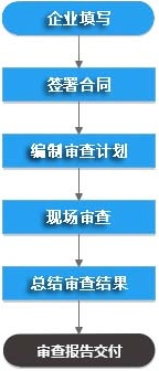 模擬飛檢服務流程